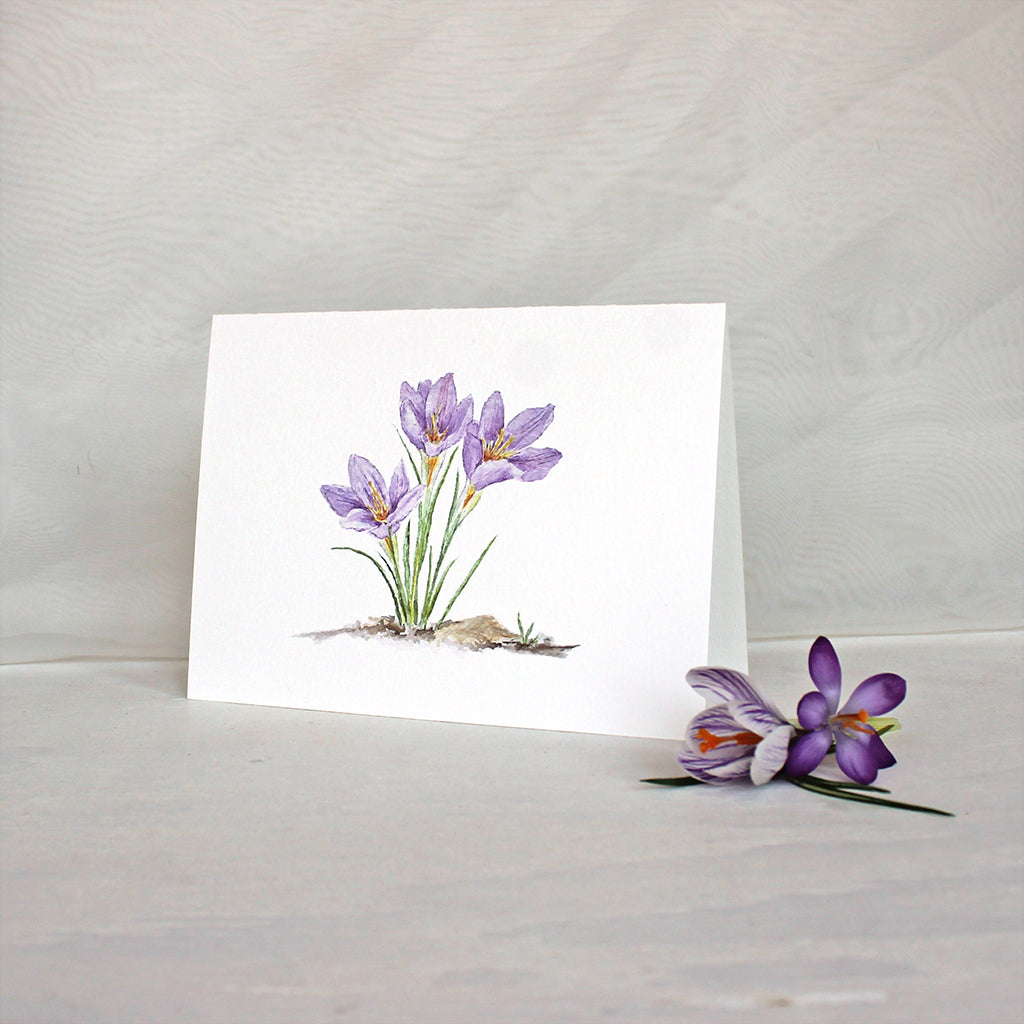 Note card featuring watercolor painting of three purple crocuses