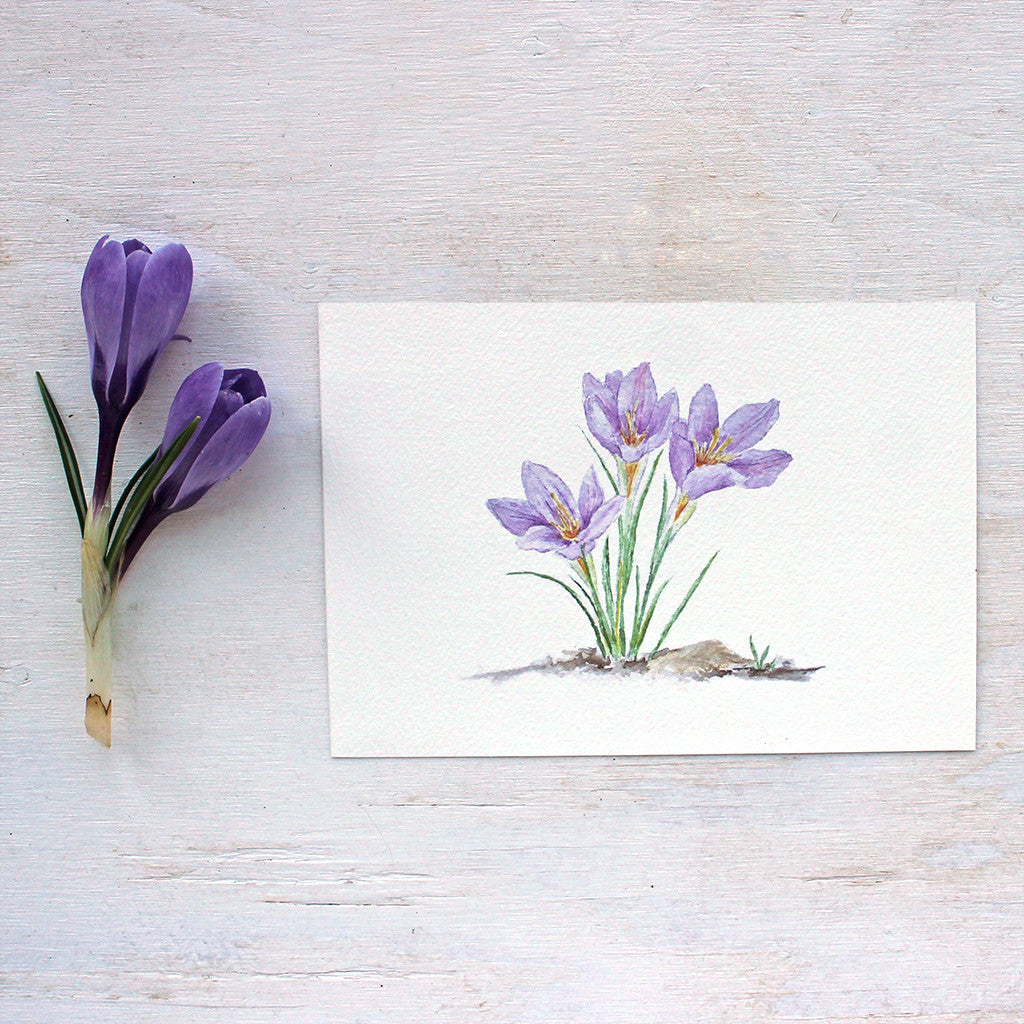 Purple Crocus Watercolor Print – Trowel and Paintbrush