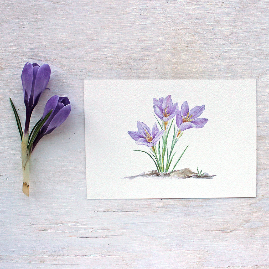 Purple crocus watercolour print by artist Kathleen Maunder, Trowel and Paintbrush