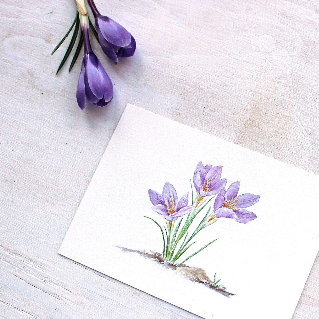 Purple crocuses watercolour print by Kathleen Maunder, trowelandpaintbrush