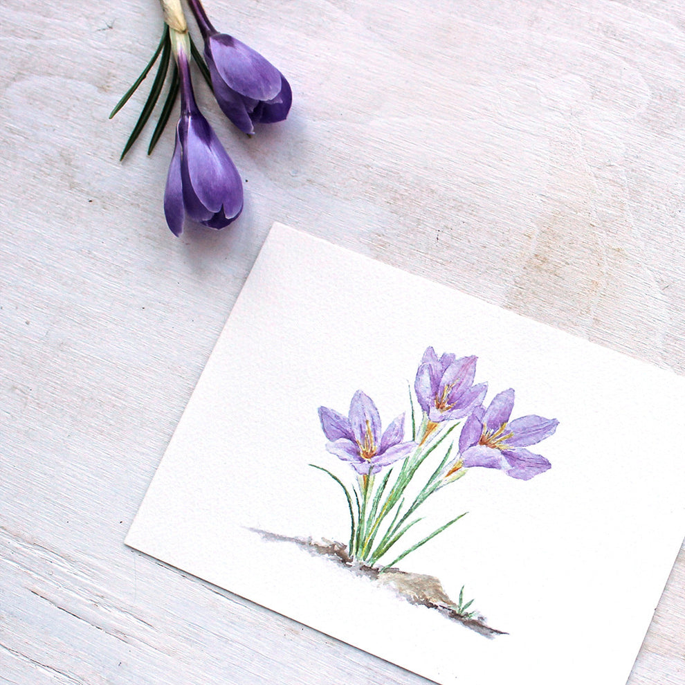 Purple Crocus Watercolor Print – Trowel and Paintbrush