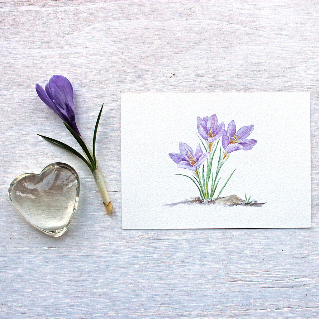 Print featuring a watercolor painting of purple crocuses by Kathleen Maunder