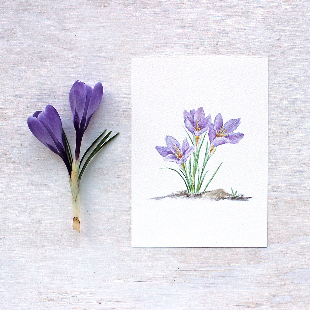 Purple Crocus Watercolor Print – Trowel and Paintbrush