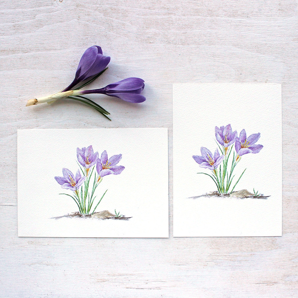 Purple Crocus Watercolor Print – Trowel and Paintbrush