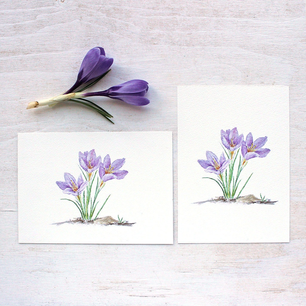 Purple crocus prints in horizontal and vertical formats (Artist Kathleen Maunder)