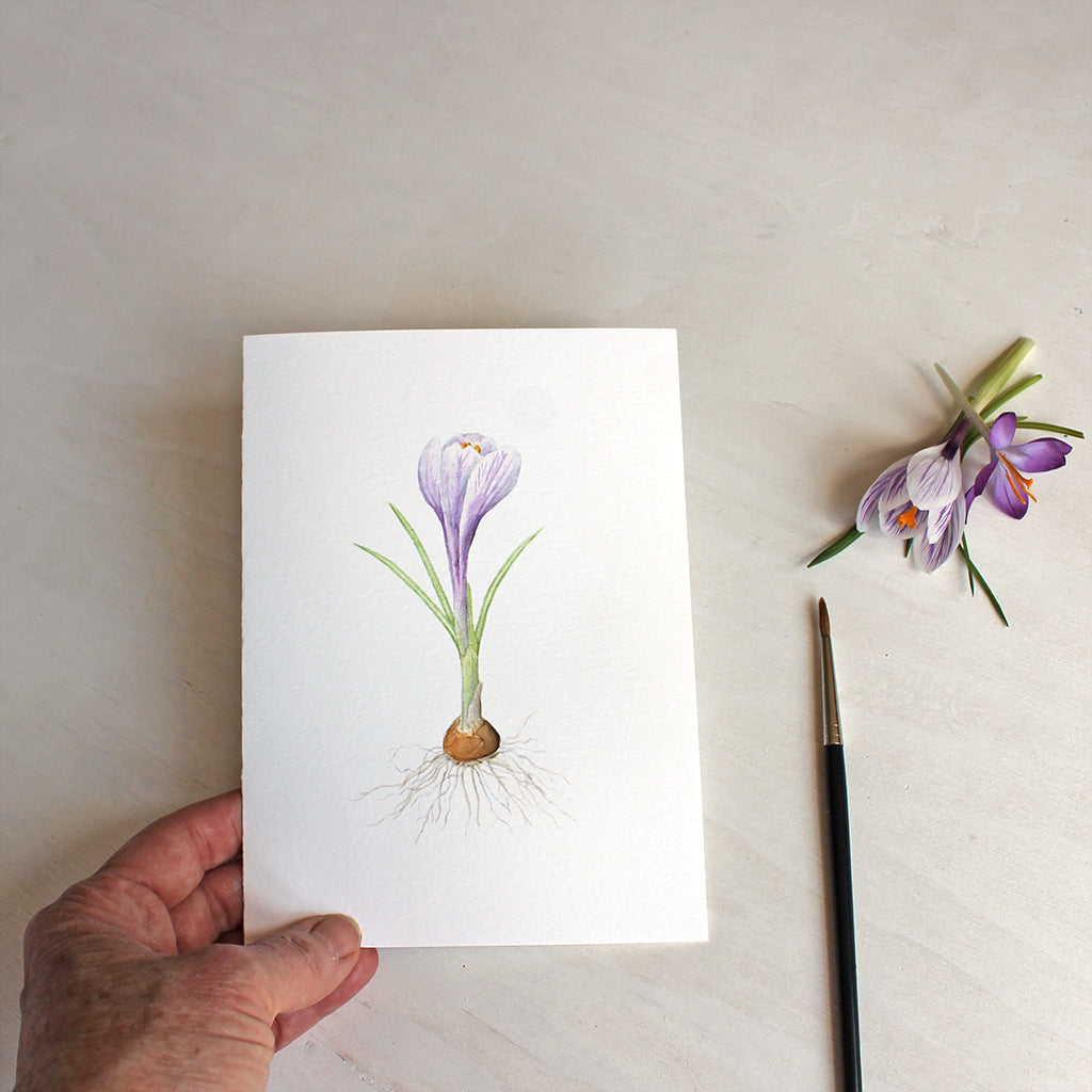 Striped purple crocus watercolor on note card. Artist Kathleen Maunder