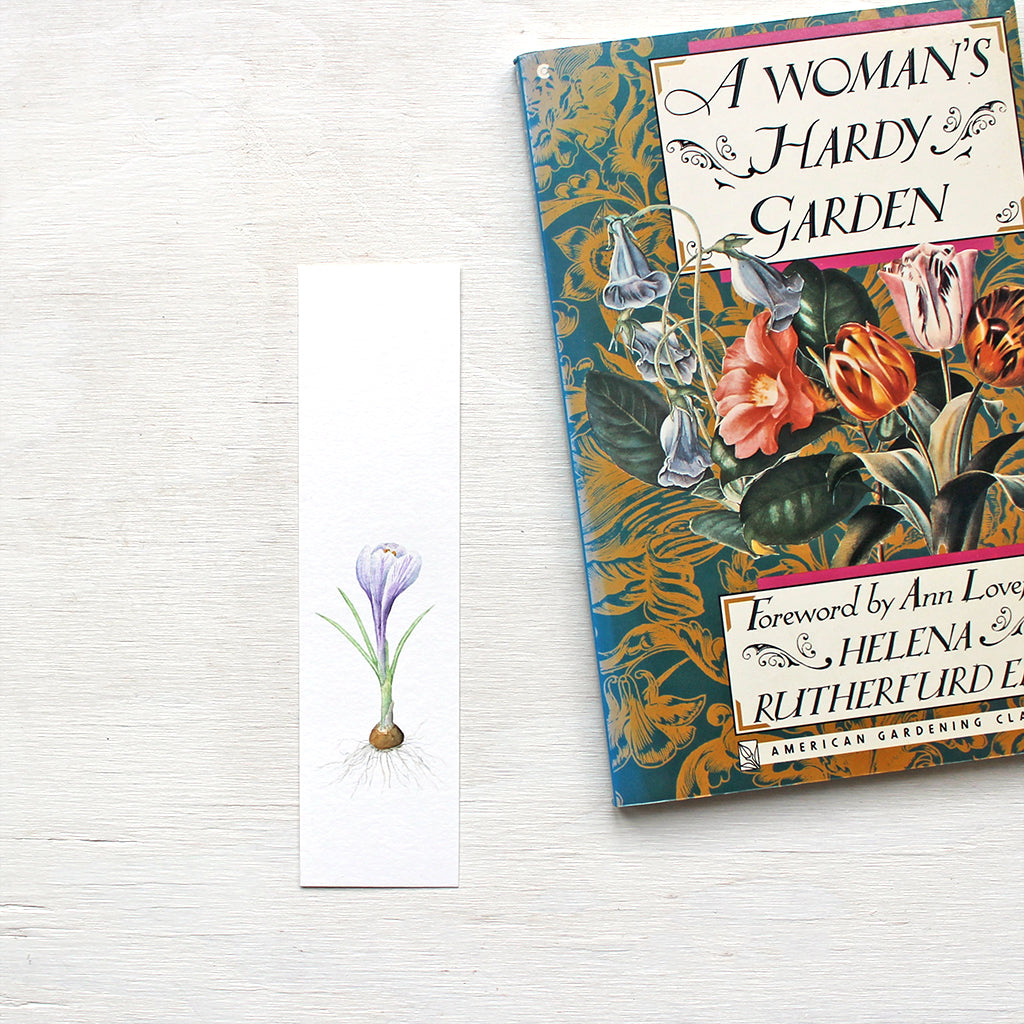 A paper bookmark featuring a watercolor painting of a striped purple crocus bulb. Artist Kathleen Maunder.