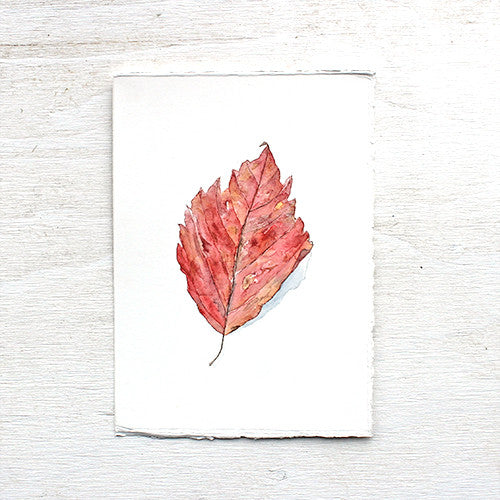 Delicate original watercolor painting of a red autumn leaf. Artist Kathleen Maunder