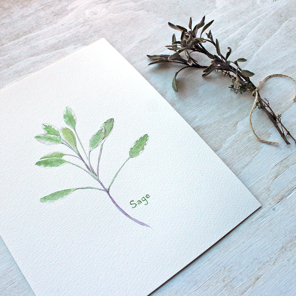 Close up of an art print featuring a lovely botanical watercolor painting featuring a stem of sage. Artist Kathleen Maunder.
