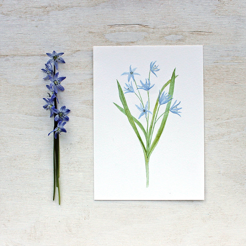 Blue scilla watercolor print by Kathleen Maunder of Trowel and Paintbrush