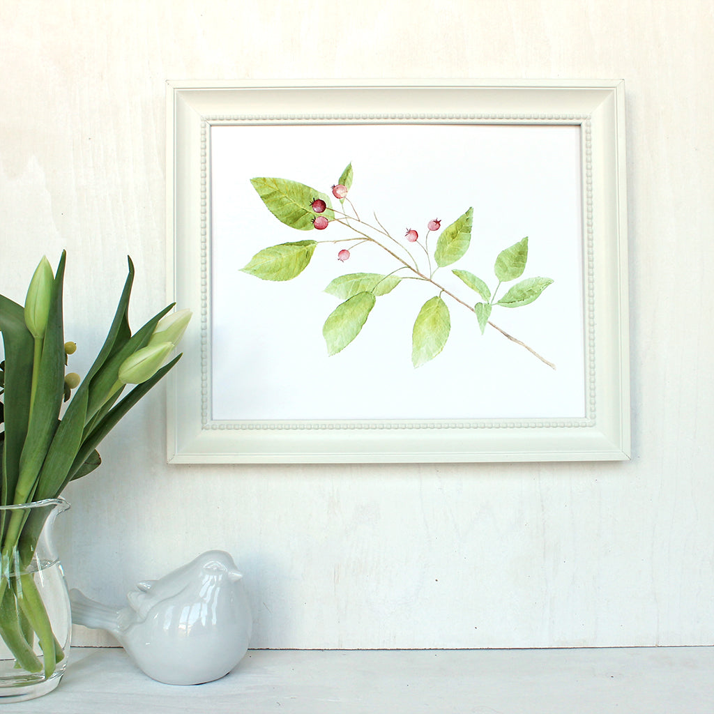 Leaves and berries - Print of watercolor painting of a serviceberry branch. (Shown framed.) Artist Kathleen Maunder.