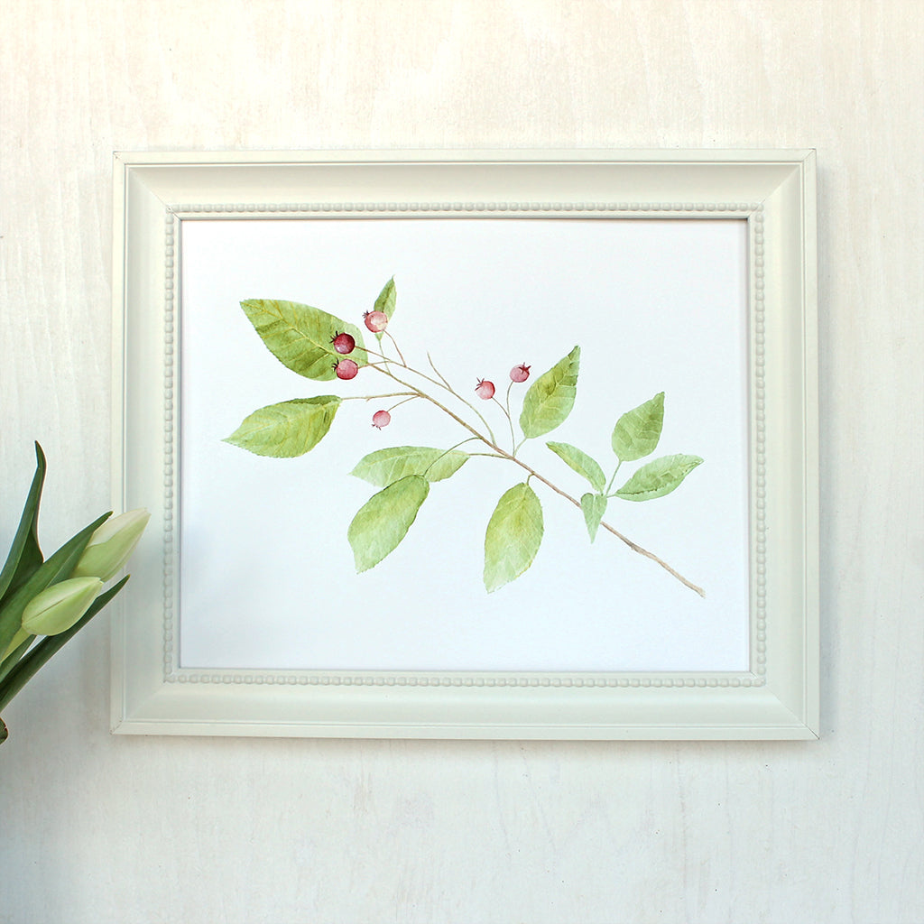 Leaves and berries - Print of watercolor painting of a serviceberry branch. Artist Kathleen Maunder.