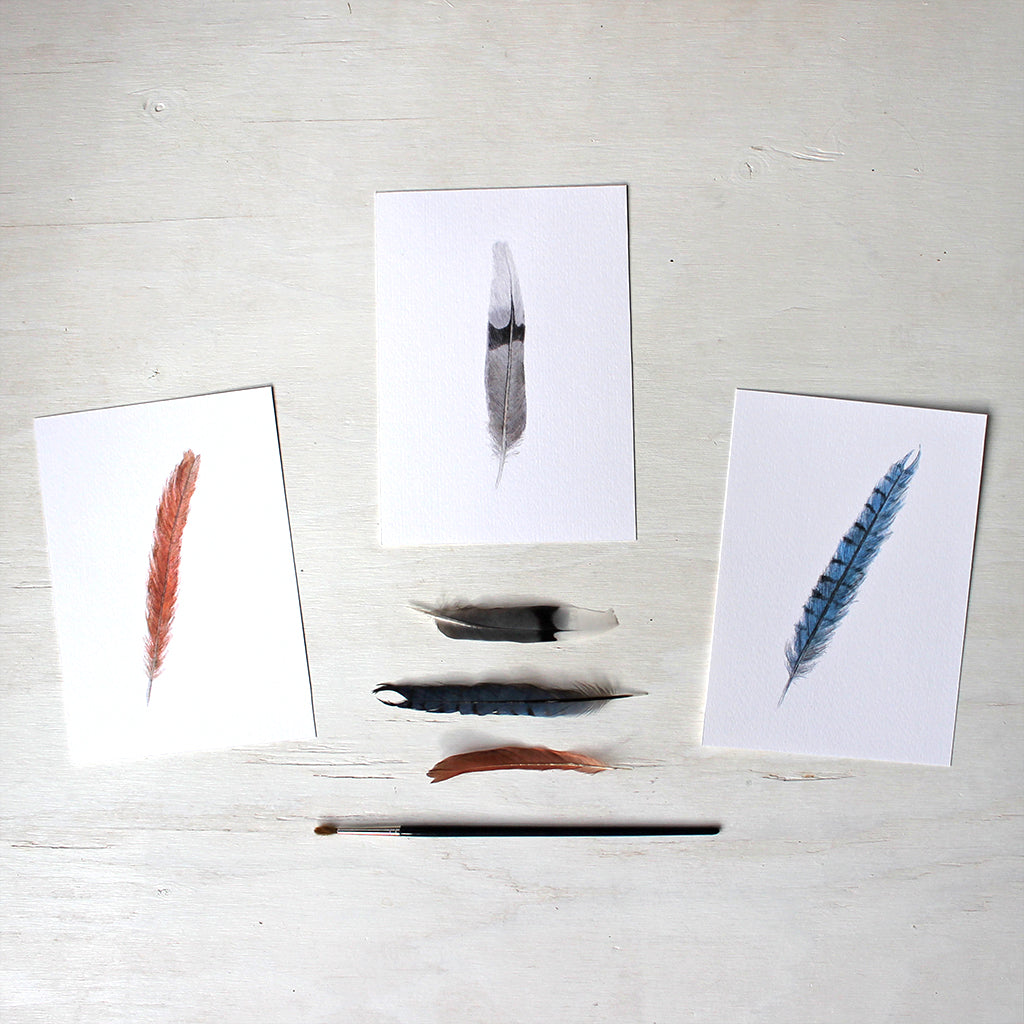 Set of three art prints featuring watercolor paintings of a female cardinal feather, mourning dove feather and blue jay feather. Artist Kathleen Maunder.