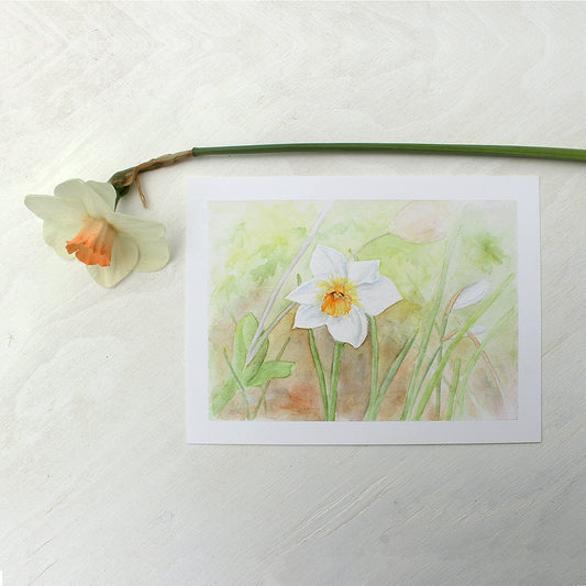Art print of a watercolor painting of a single daffodil by artist Kathleen Maunder