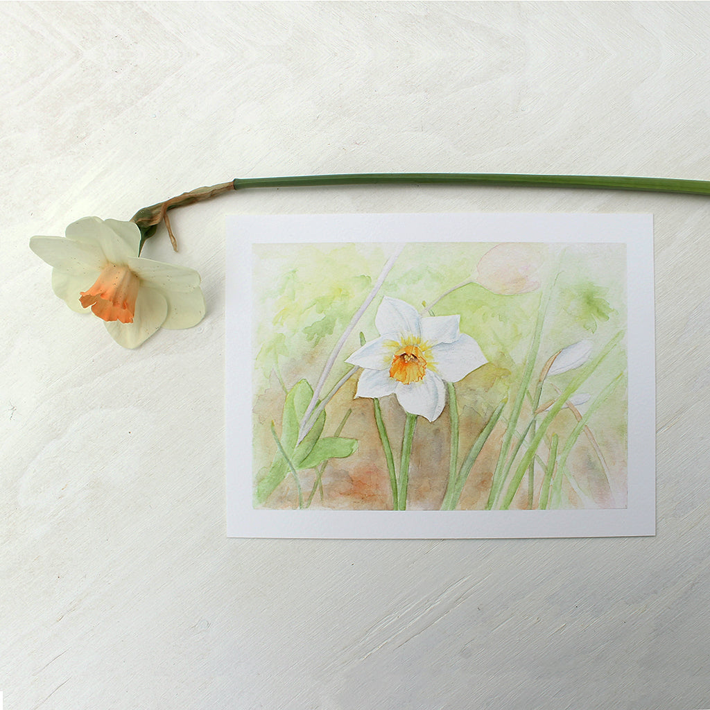 Art print of a watercolor painting of a single daffodil by artist Kathleen Maunder