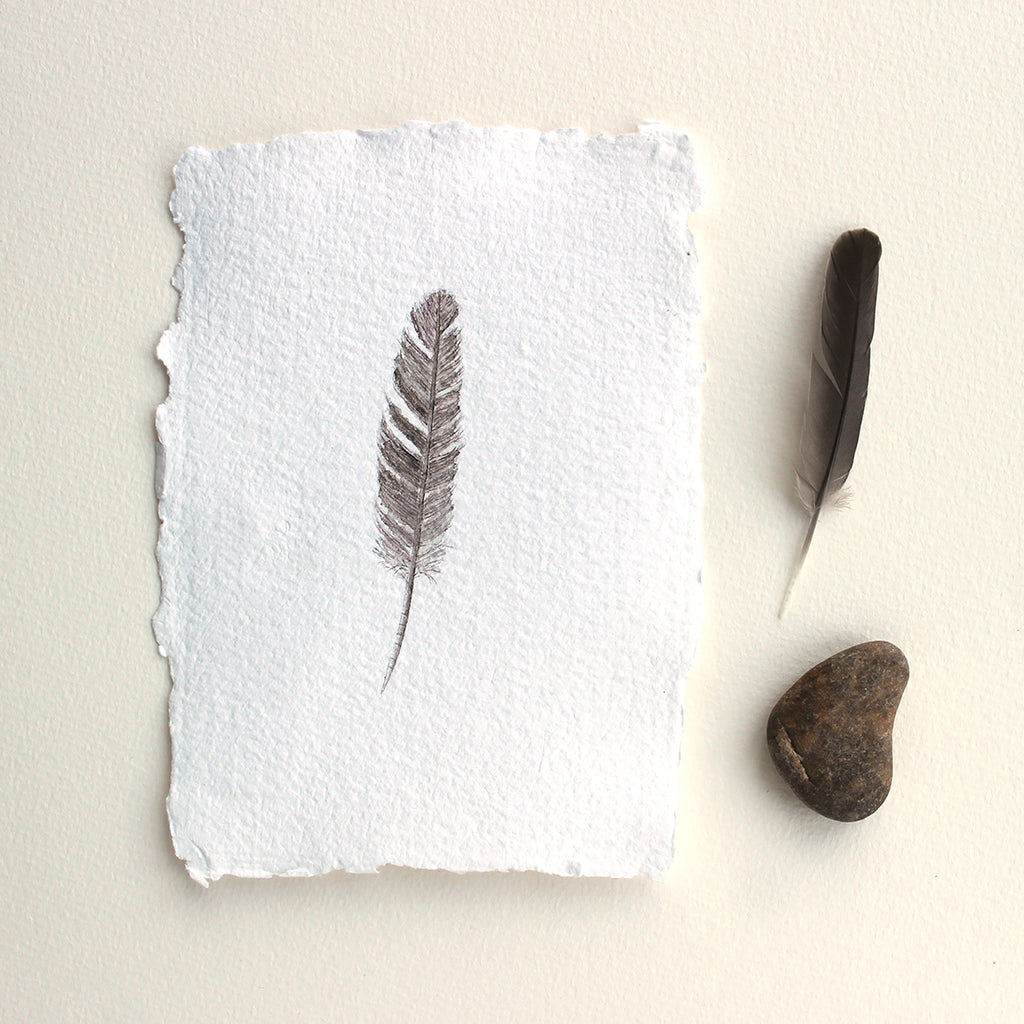 Original watercolour painting of a small sparrow feather by Canadian artist Kathleen Maunder