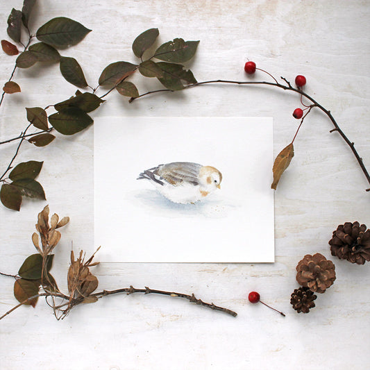 Beautiful print of a snow bunting. Bird art by watercolor artist Kathleen Maunder