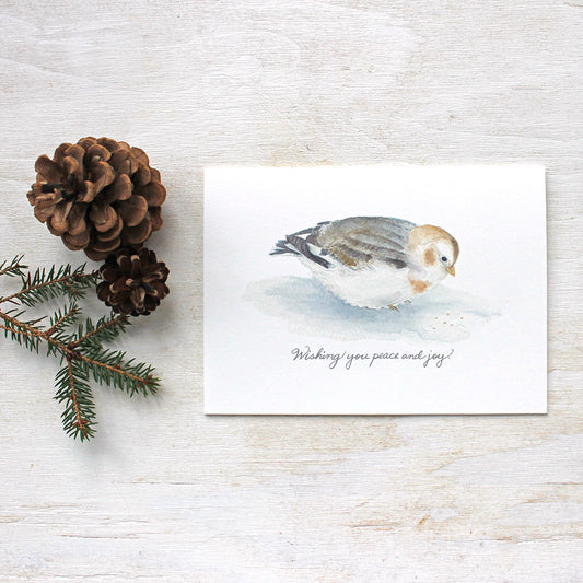 This lovely set of five cards features a watercolor painting I did of a snow bunting and the simple, warm greeting: 'Wishing you peace and joy'. Perfect holiday card for bird lovers.