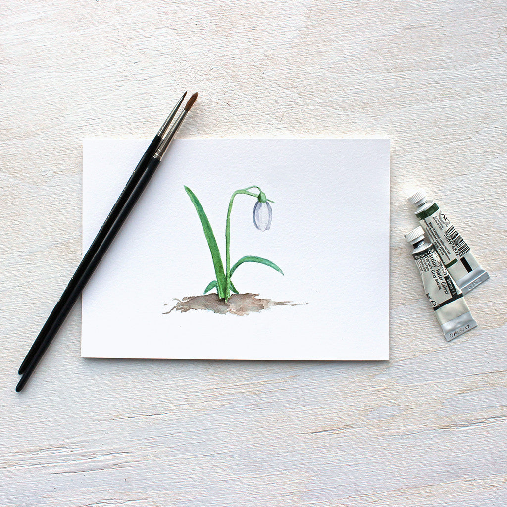 Art print of a simple, lovely watercolor painting of a snowdrop. Artist Kathleen Maunder