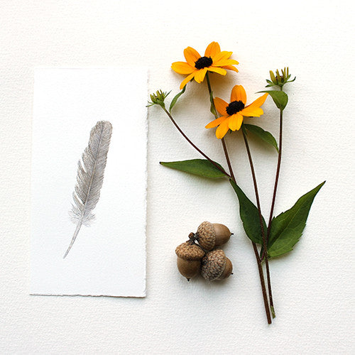 Aquarelle de plume de moineau