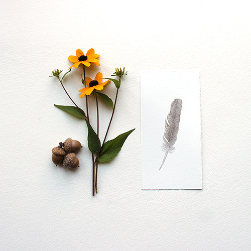 Aquarelle de plume de moineau
