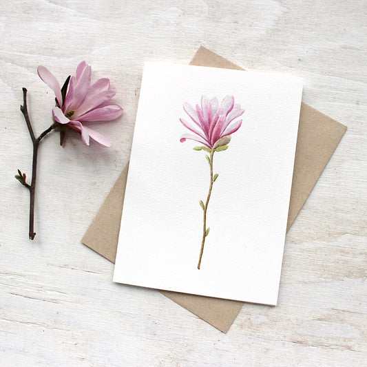 Lovely blank note cards featuring a star magnolia flower by watercolor artist Kathleen Maunder