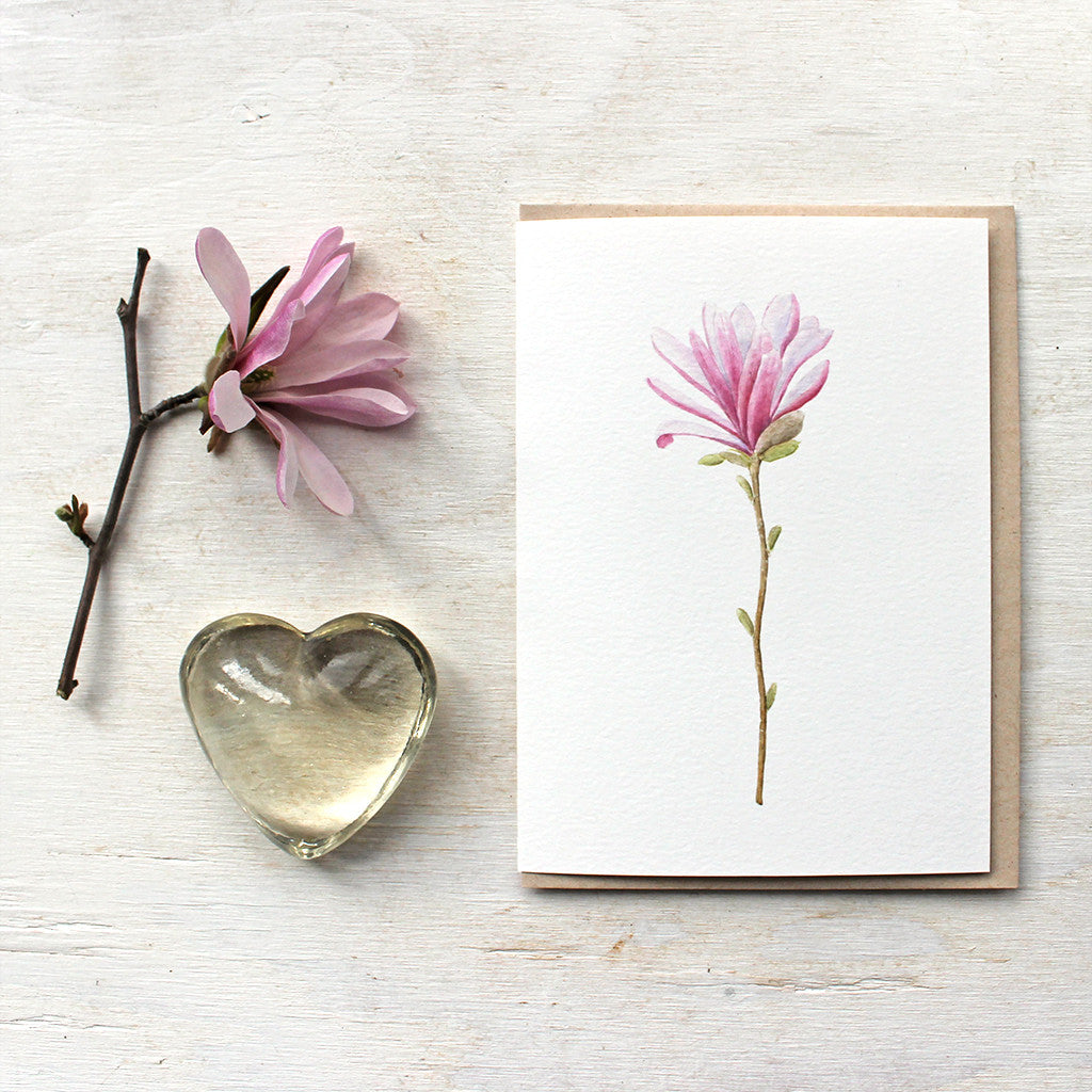 Note cards featuring a star magnolia watercolor painting by Kathleen Maunder