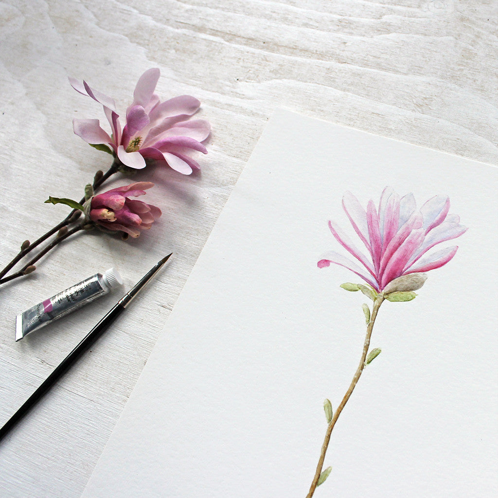 A closer look at my pink star magnolia watercolor painting, available as an 8 x 10 print.