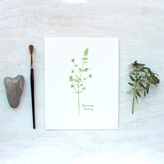 A botanical art print of a delicate watercolor painting of a sprig of summer savoury herb. Artist Kathleen Maunder.