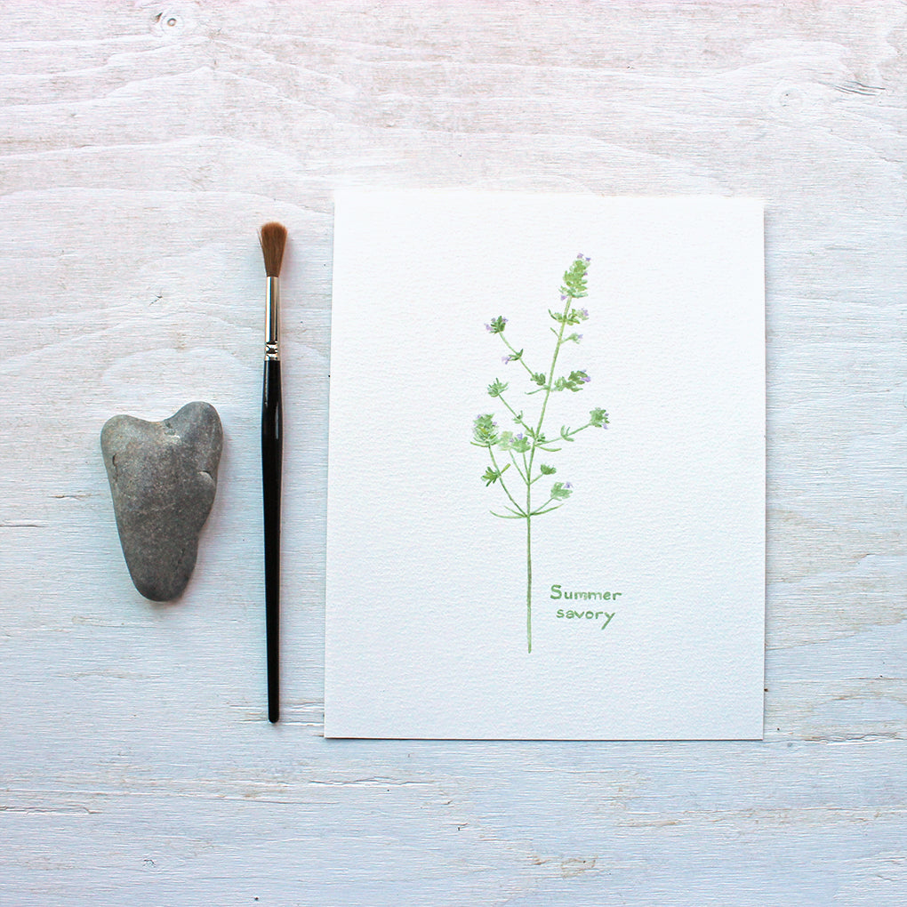 An art print featuring a delicate watercolor painting of the herb summer savory. Artist Kathleen Maunder.