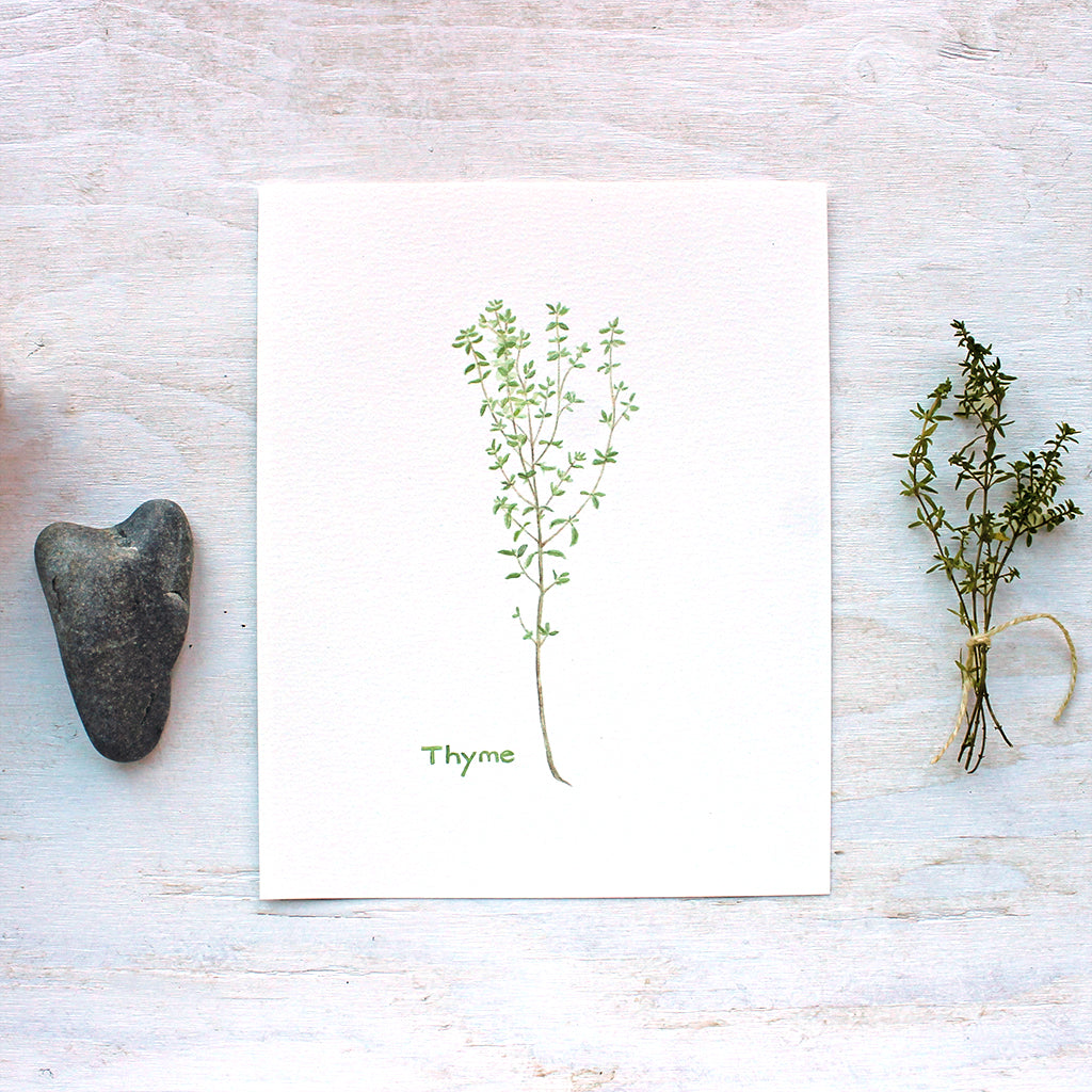 An art print featuring a delicate watercolor painting of a sprig of thyme. Artist Kathleen Maunder.