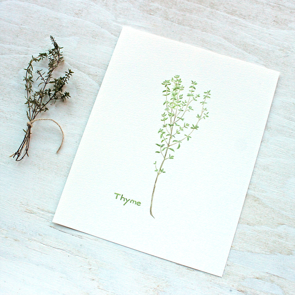 A botanical art print featuring a delicate watercolor painting of a sprig of thyme. Artist Kathleen Maunder.