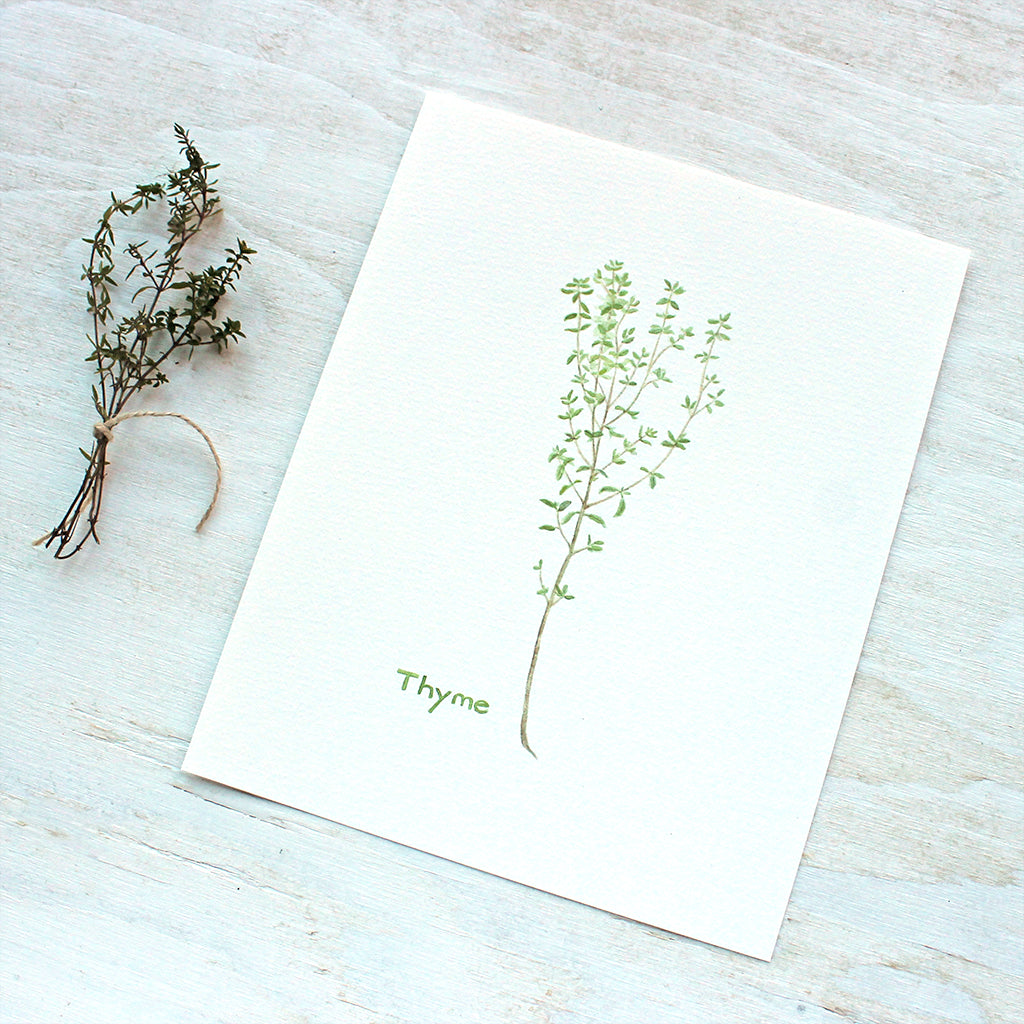 Herbs Set of 4 Watercolor Painting, Kitchen Prints, Sage Thyme