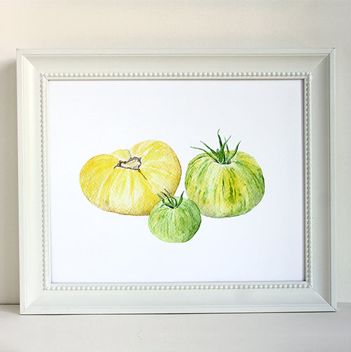 Framed yellow and green heirloom tomato print. Watercolor by Kathleen Maunder