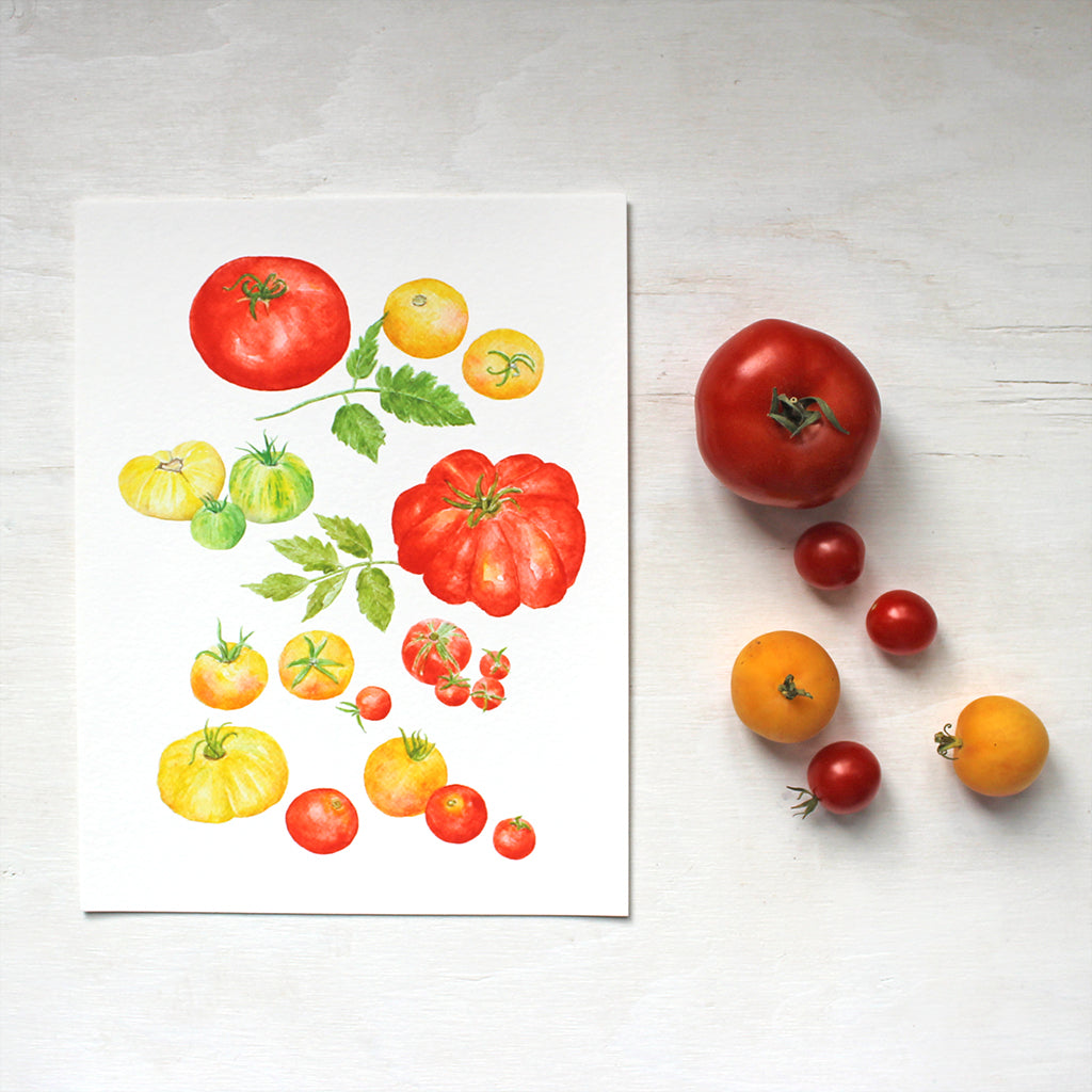 Watercolor paintings of several kinds of red, yellow and green heirloom tomatoes are combined into one art print. Artist Kathleen Maunder.
