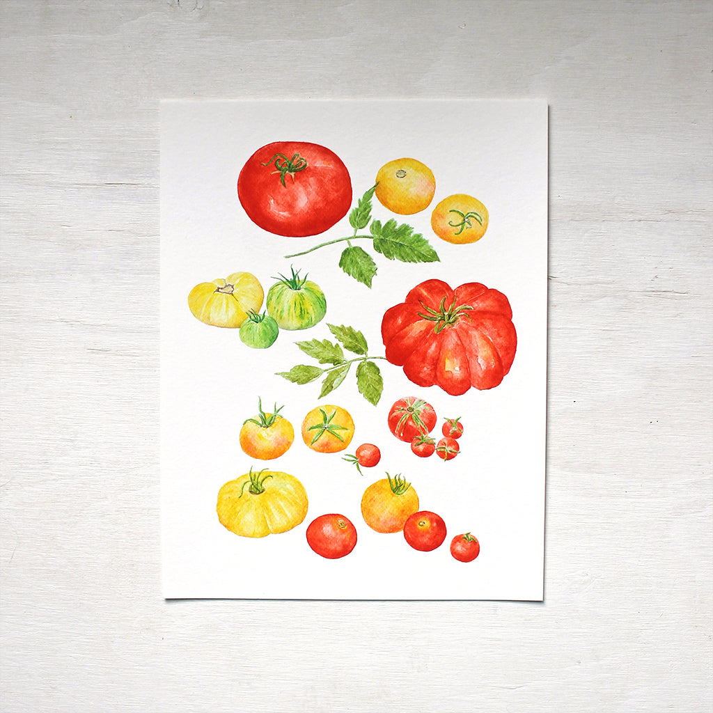 A print depicting several kinds of red, yellow and green heirloom tomatoes by watercolor artist Kathleen Maunder.