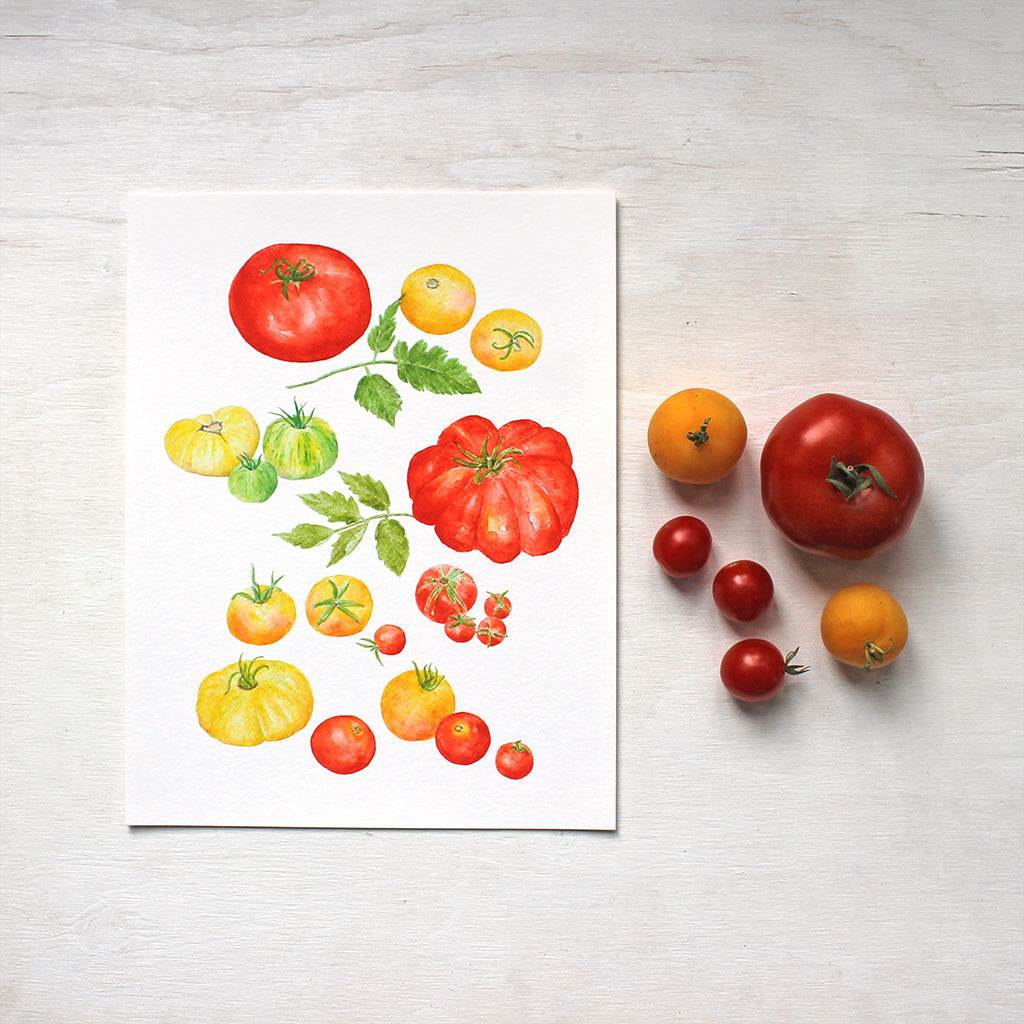 A watercolour art print depicting several kinds of red, yellow and green heirloom tomatoes. Artist Kathleen Maunder.