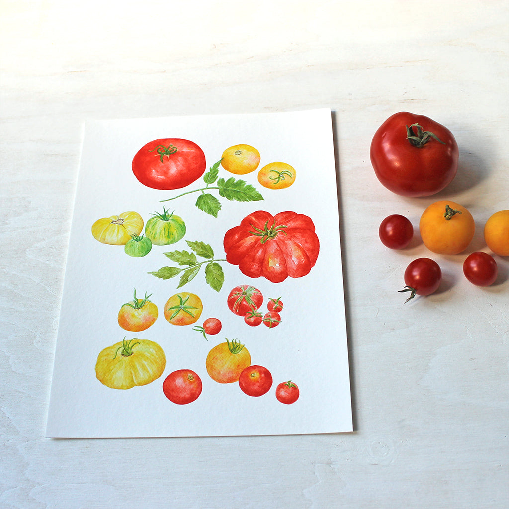 Watercolor paintings of several kinds of red, yellow and green heirloom tomatoes are combined in one art print.
