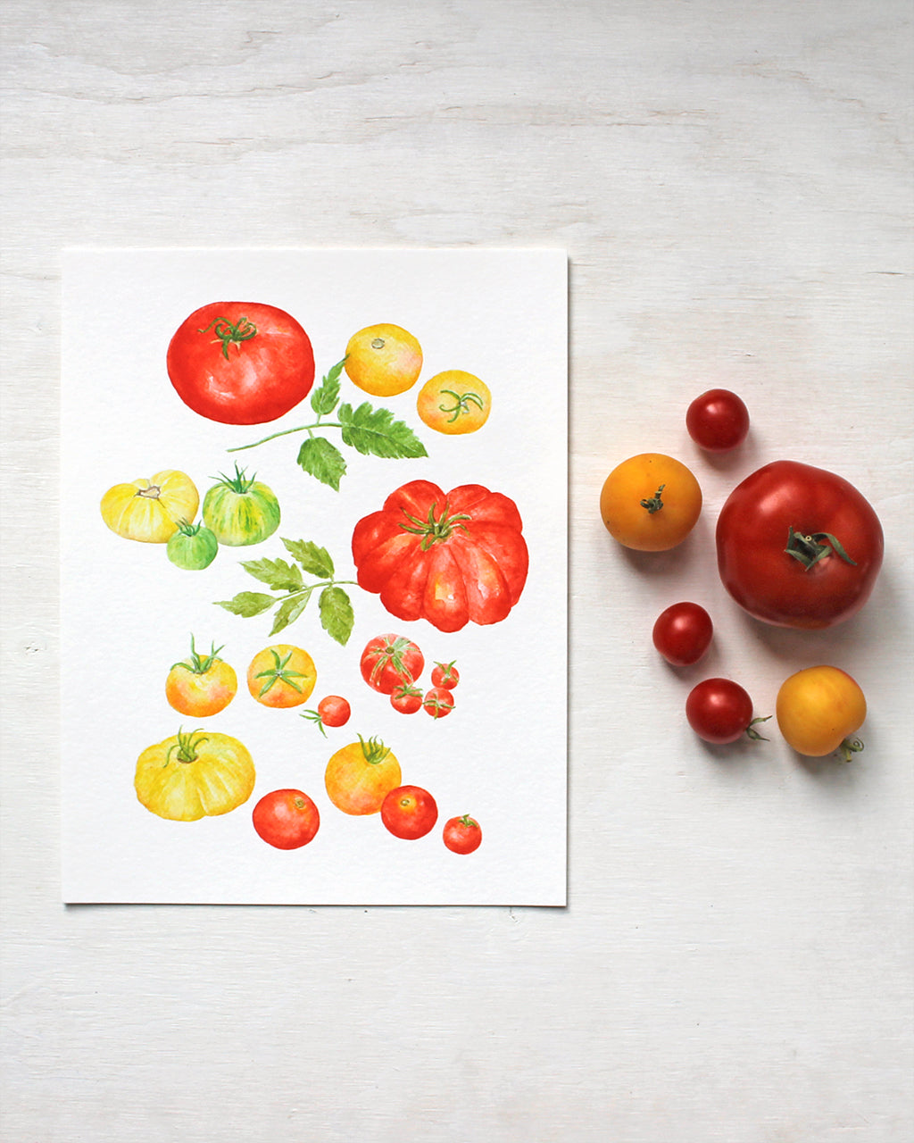 An art print of red, yellow and green heirloom tomatoes from the garden. Watercolor artist Kathleen Maunder.