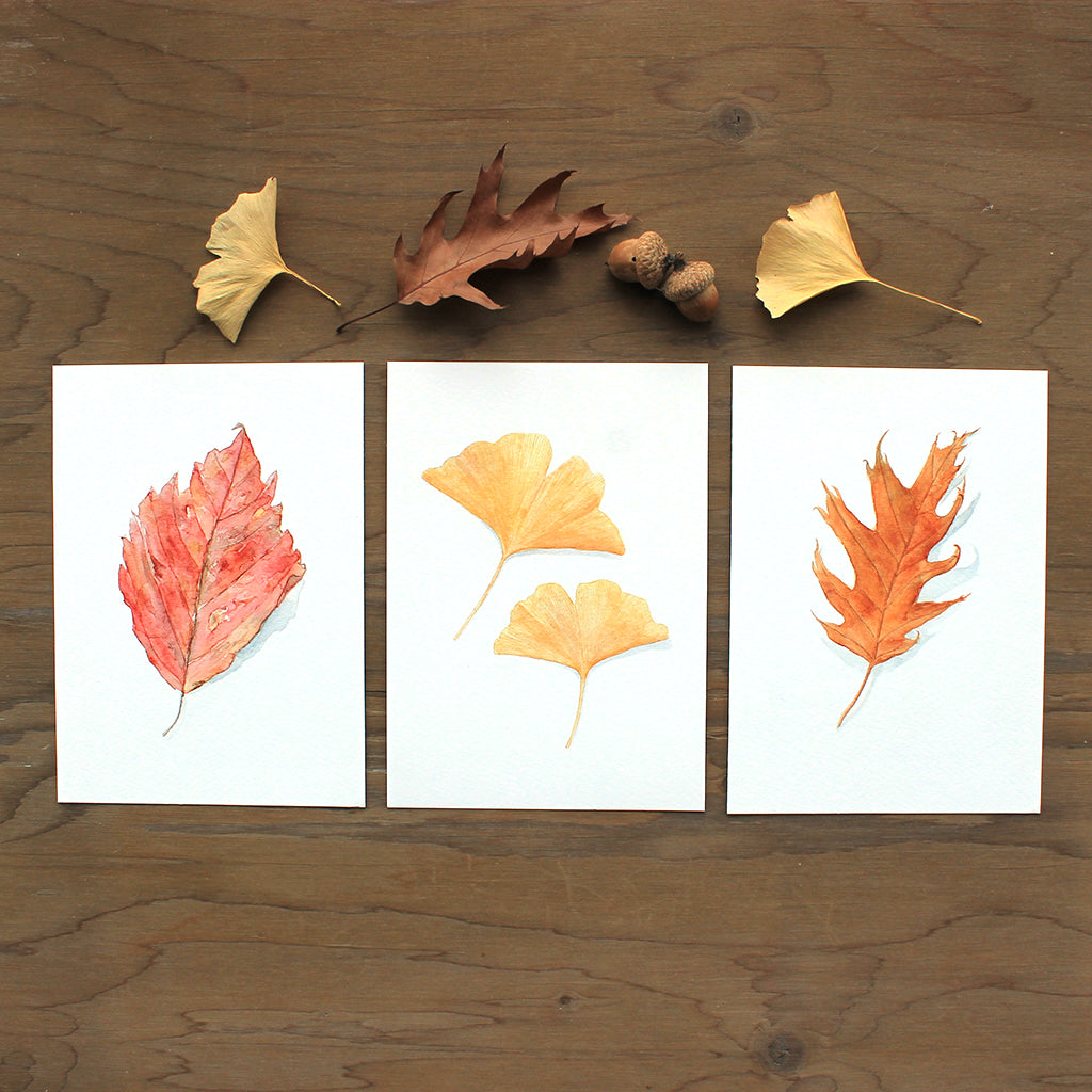 Set of three lovely autumn leaf art prints based on watercolor paintings by Kathleen Maunder. A red beech leaf, two ginkgo leaves and an oak leaf.