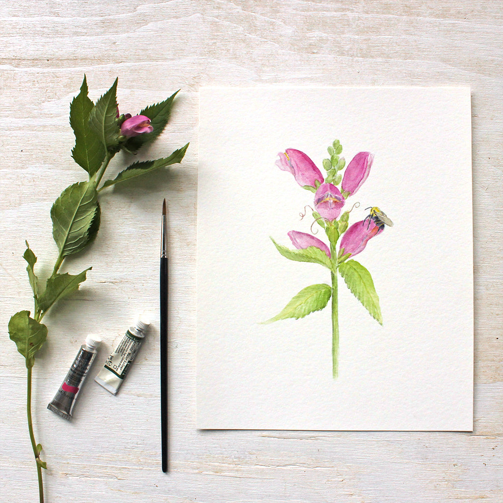 Turtlehead flowers and bee - Watercolor painting by Kathleen Maunder - Available as a print