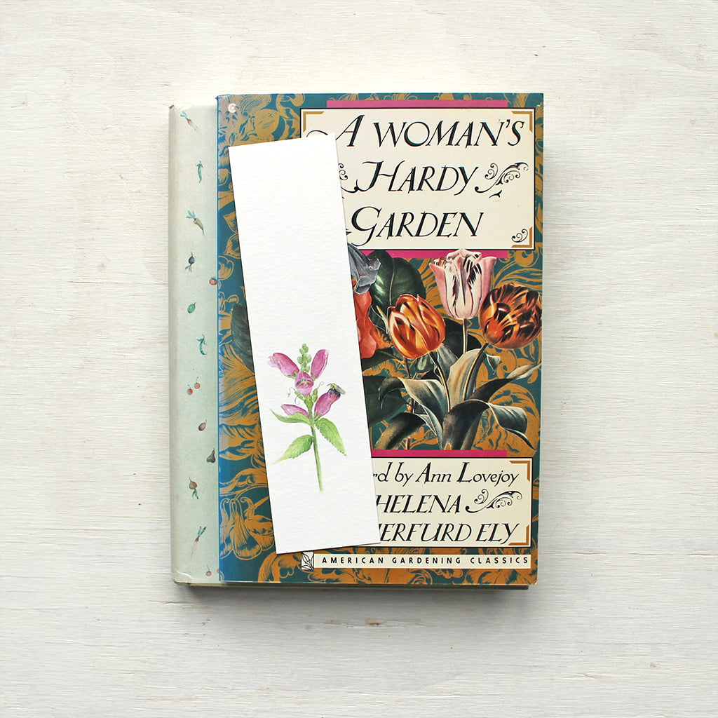 A floral bookmark featuring a watercolour painting of pink turtlehead and a bee. Artist Kathleen Maunder.
