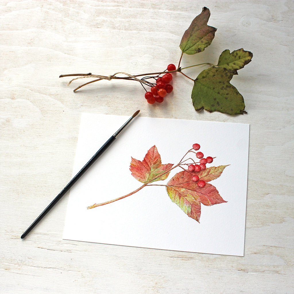 Art print based on a botanical watercolor painting of viburnum leaves and berries. Autumn tones of red, orange and rust. Artist Kathleen Maunder.