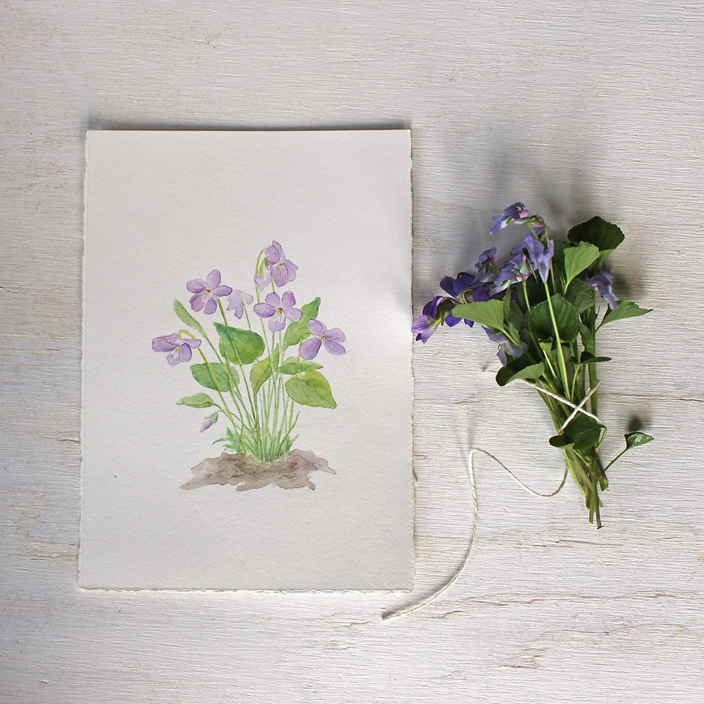 Original watercolor painting of wood violets by Kathleen Maunder
