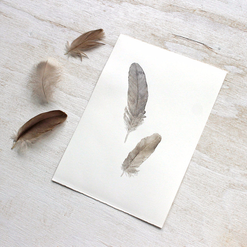 Feather painting by watercolor artist Kathleen Maunder