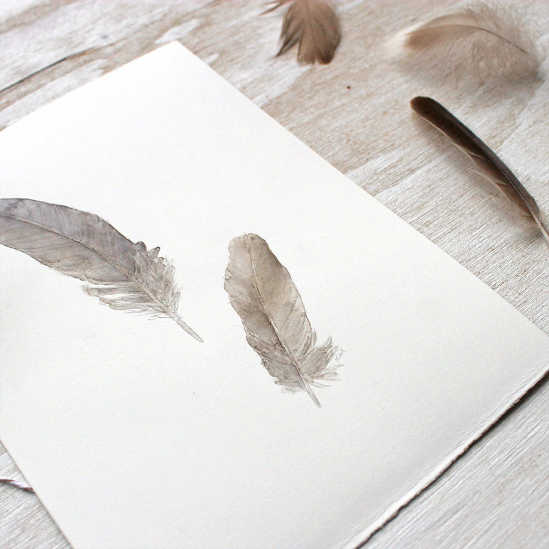 Detail of original watercolor painting of sparrow feathers by Kathleen Maunder