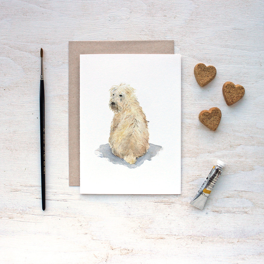 Soft coated wheaten terrier. Dog note cards by watercolor artist Kathleen Maunder.