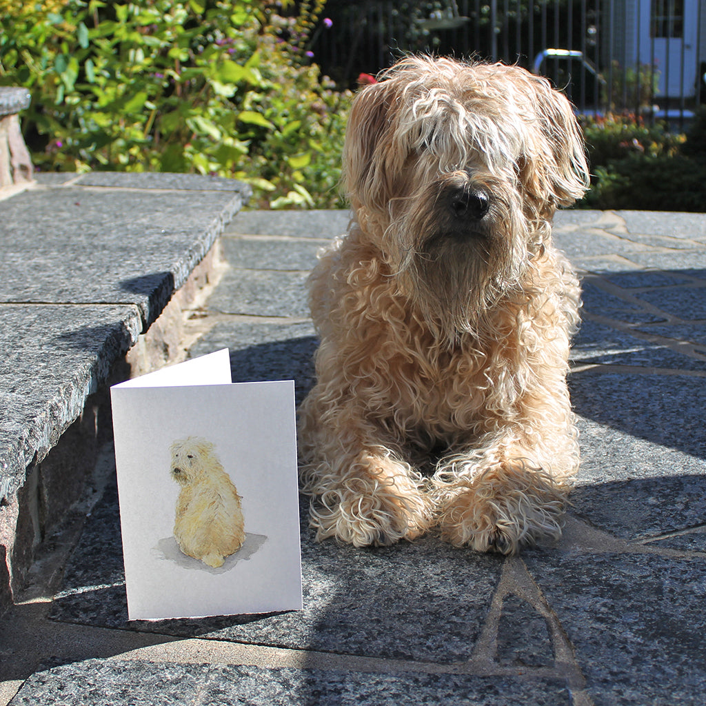 Meeko, my wheaten terrier, with his painting featured on one of my note cards. Kathleen Maunder of Trowel and Paintbrush