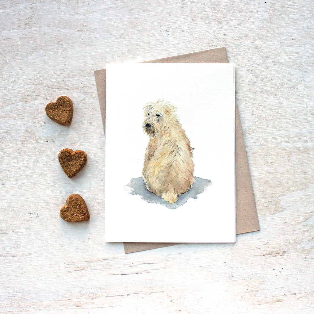 Soft coated wheaten terrier. Dog note cards by Kathleen Maunder.