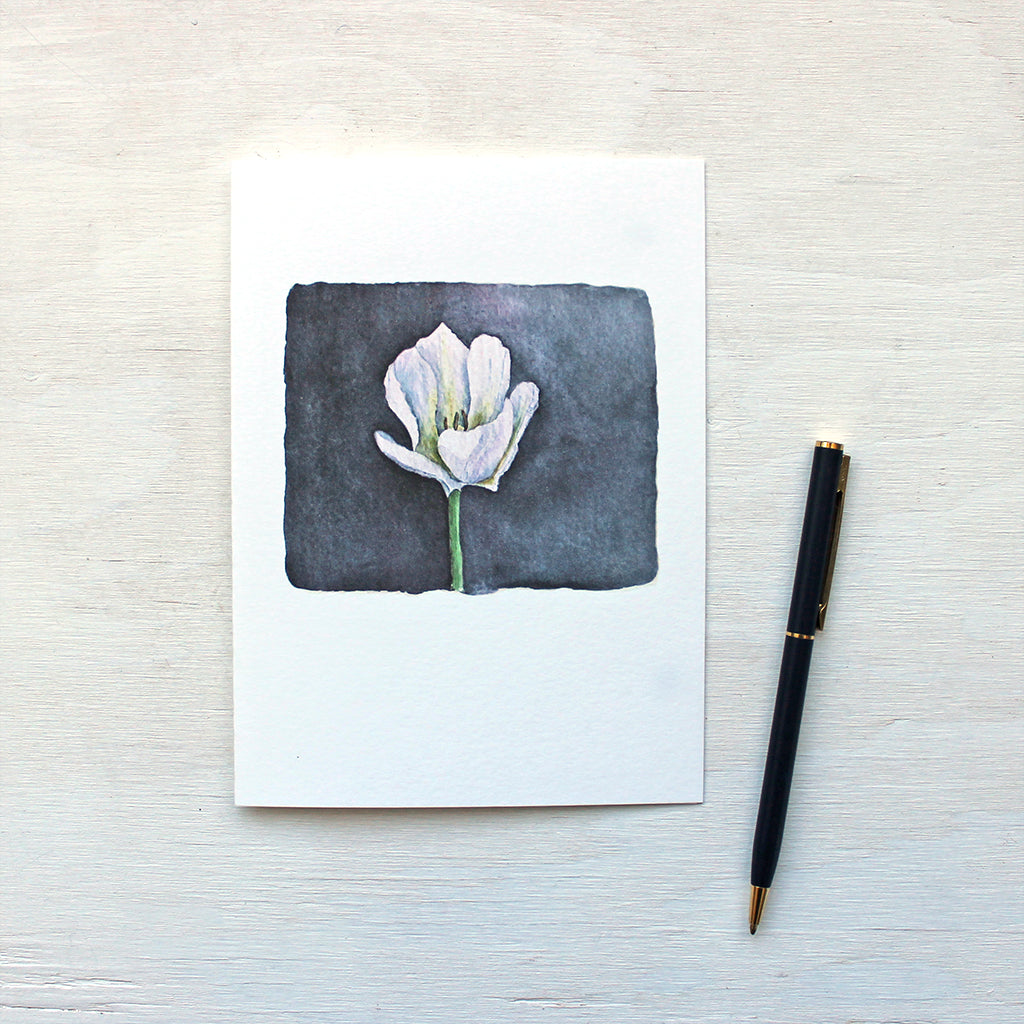 A beautiful note card featuring a watercolour painting of an elegant white tulip against a dark blue background. Watercolour artist Kathleen Maunder.